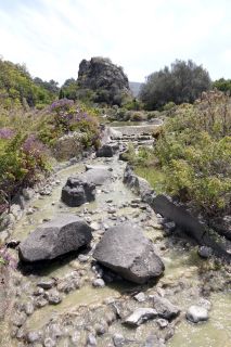 GC-Jardin Botanico Viera 2019-16.JPG